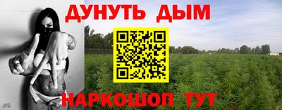 индика Бийск