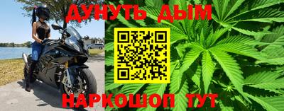 индика Бийск