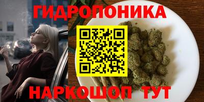 ALPHA PVP Беслан
