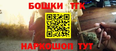 индика Бийск