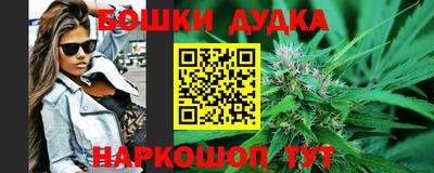 индика Бийск