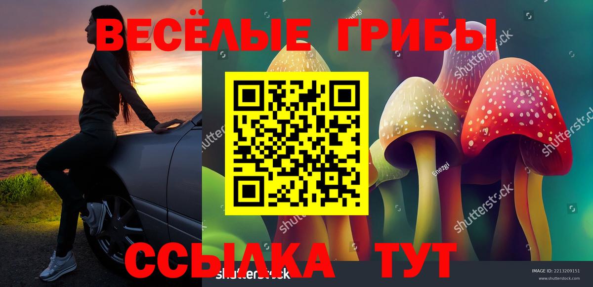 закладки  Галлюциногенные грибы Magic Shrooms  Вход с VPN  Керчь  Галлюциногенные грибы GOLDEN TEACHER 